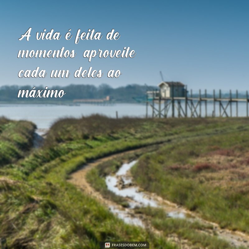 frases sobre a vida e o amor A vida é feita de momentos, aproveite cada um deles ao máximo.