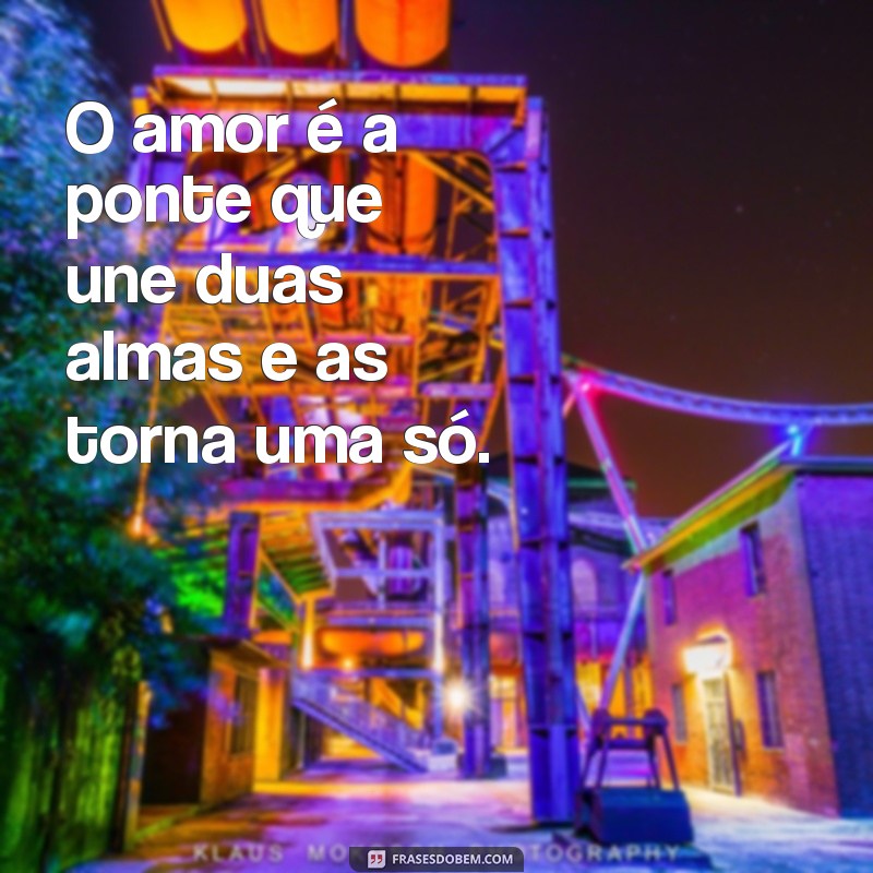 Descubra as melhores frases sobre a vida e o amor para se inspirar 