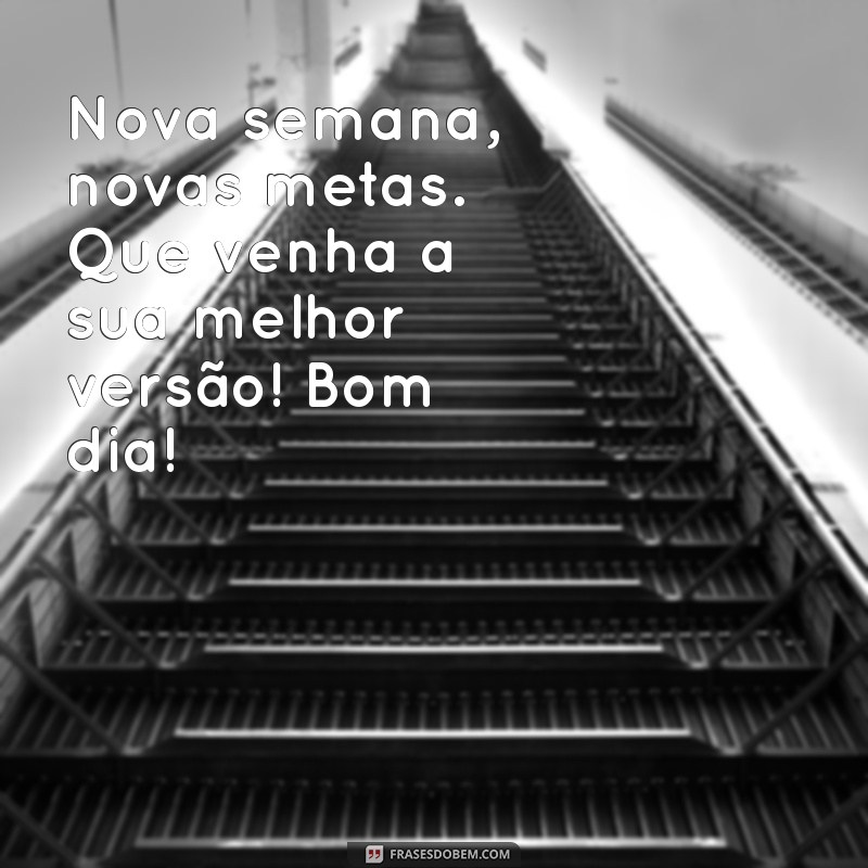 Melhores Fotos de Bom Dia para Começar Sua Segunda-Feira com Positividade 