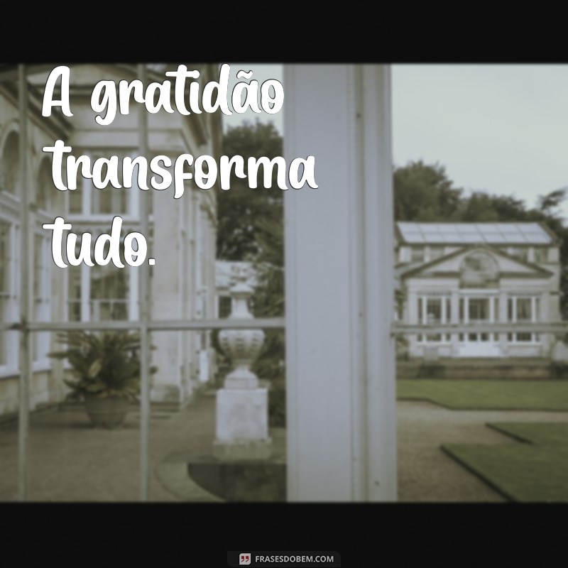 As Melhores Frases Bonitas para Transformar Sua Bio do Instagram 