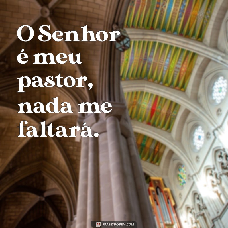 frases de salmos curtas O Senhor é meu pastor, nada me faltará.