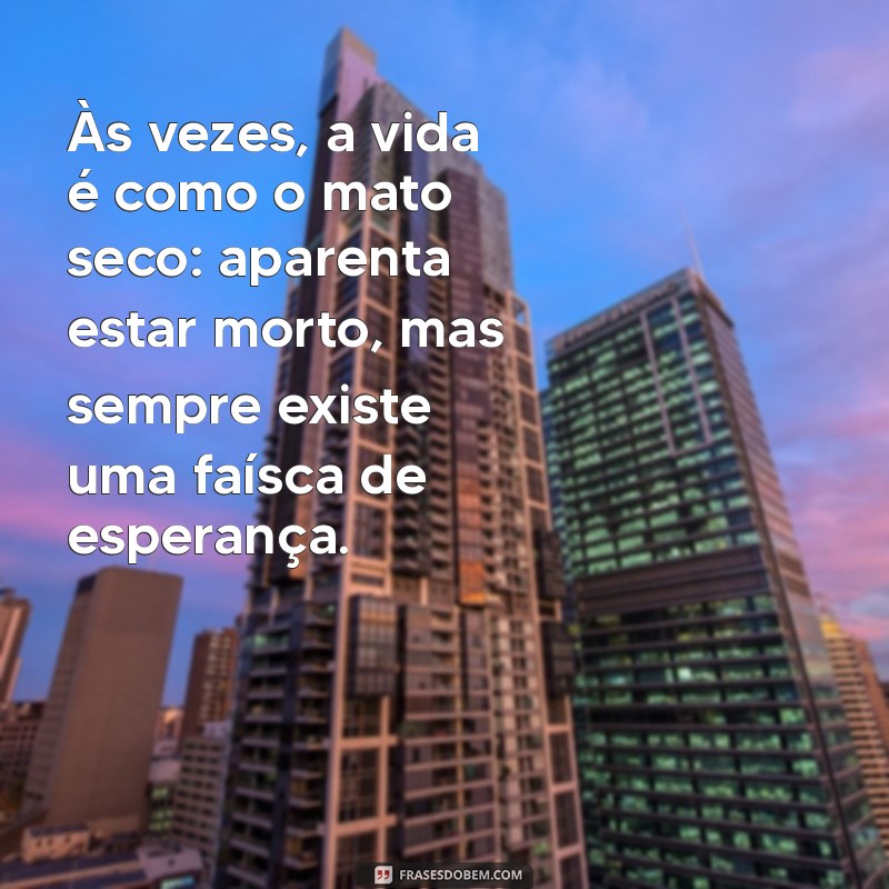 frases mato seco Às vezes, a vida é como o mato seco: aparenta estar morto, mas sempre existe uma faísca de esperança.