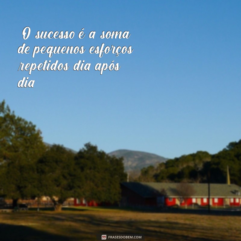 frases motivacional sucesso 