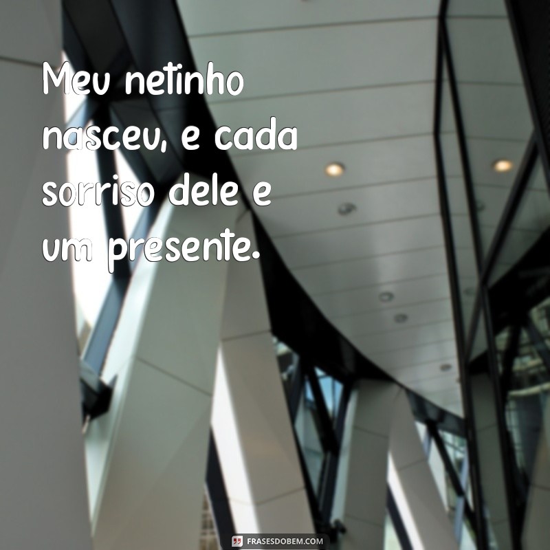 Celebrando a Chegada do Meu Netinho: Dicas e Emoções para Novos Avós 