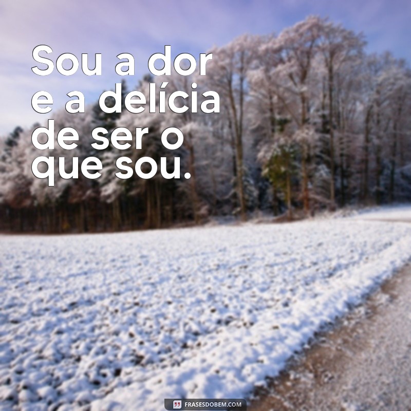 As Melhores Frases de Cazuza que Inspiram e Refletem a Vida 