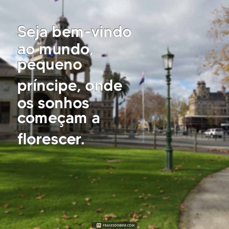 seja bem-vindo ao mundo, pequeno príncipe Seja bem-vindo ao mundo, pequeno príncipe, onde os sonhos começam a florescer.