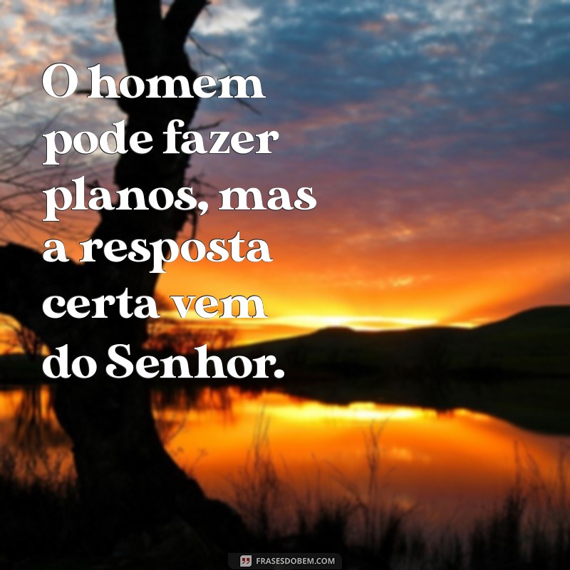 Frases Bíblicas Inspiradoras: Reflexões e Mensagens de Fé 