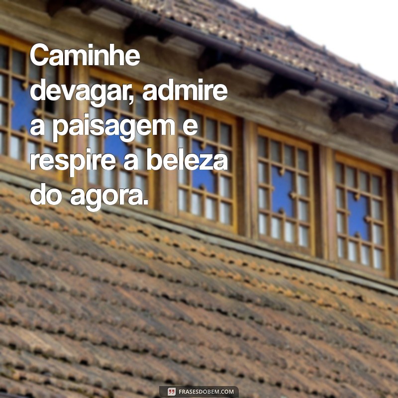 Frases Inspiradoras para Levar a Vida com Leveza e Alegria 