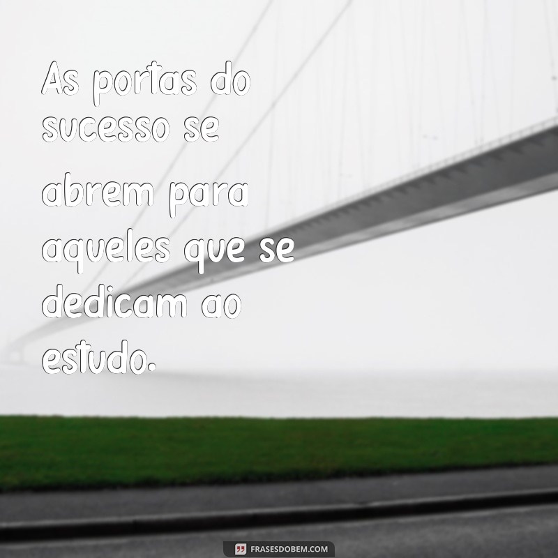 28 frases de estudo motivacionais para te inspirar a alcançar seus objetivos 