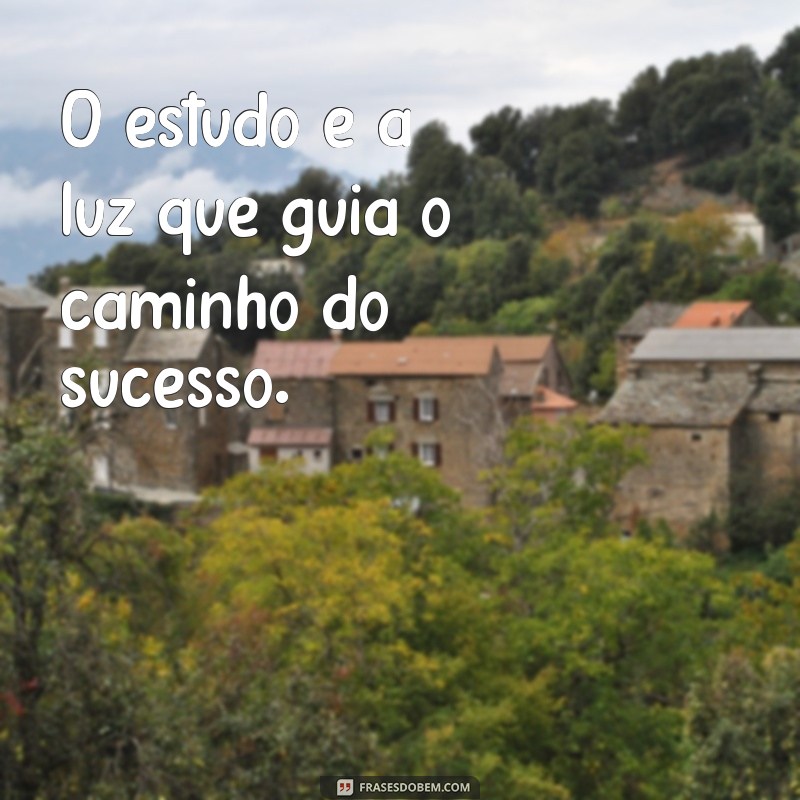 28 frases de estudo motivacionais para te inspirar a alcançar seus objetivos 