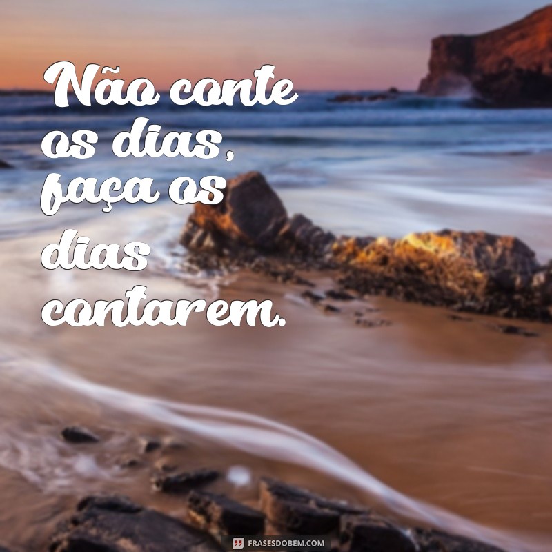 Os Melhores Pensamentos para Status: Inspire-se e Compartilhe 