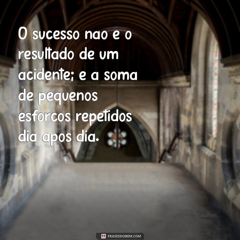 frases motivacional de hoje O sucesso não é o resultado de um acidente; é a soma de pequenos esforços repetidos dia após dia.