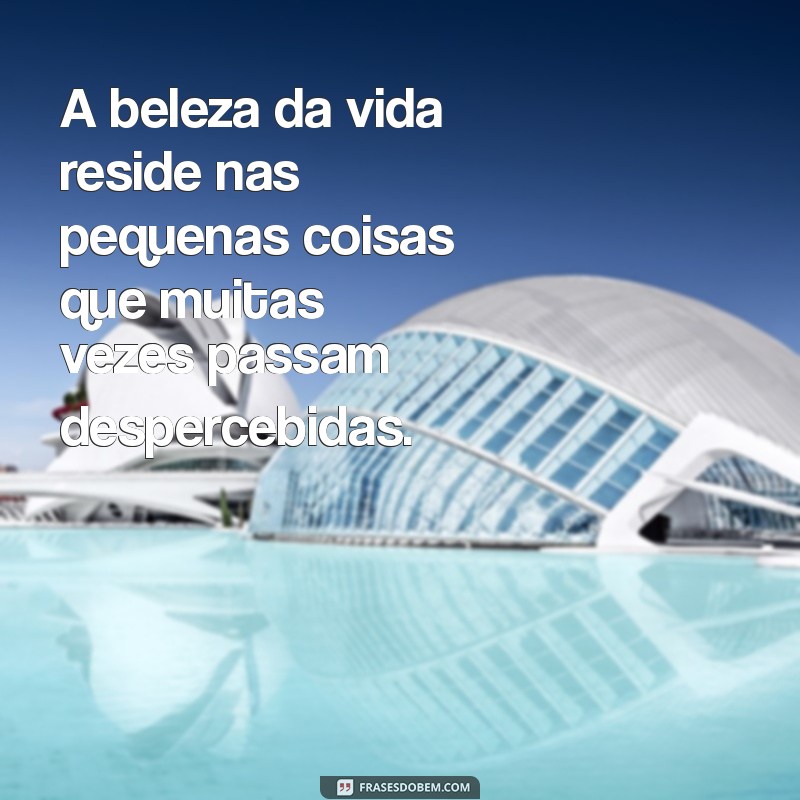 letra minha alma A beleza da vida reside nas pequenas coisas que muitas vezes passam despercebidas.