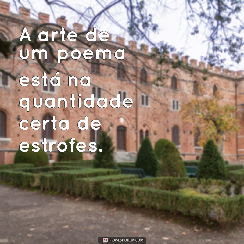 Quantas Estrofes Tem um Poema? Entenda a Estrutura Poética 