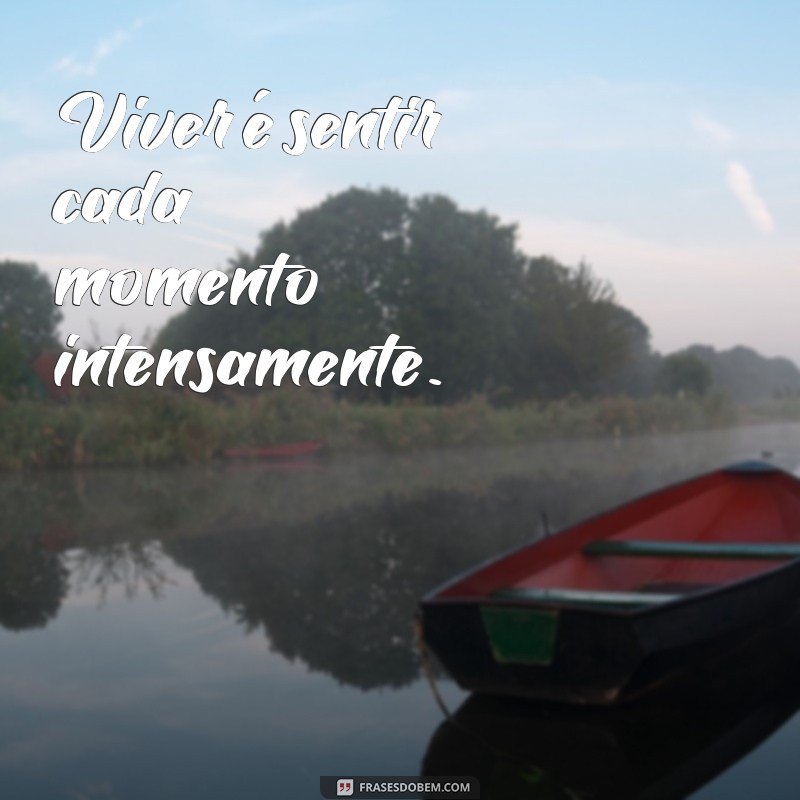 viver a vida frases curtas Viver é sentir cada momento intensamente.