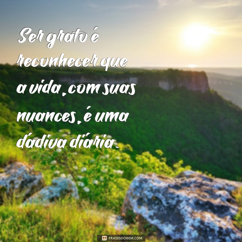 As Melhores Frases das Músicas do Natiruts para Inspirar sua Vida 