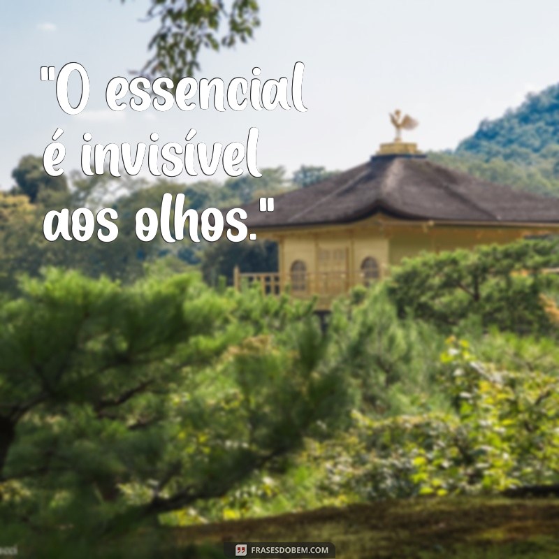 frases de livros curtas 