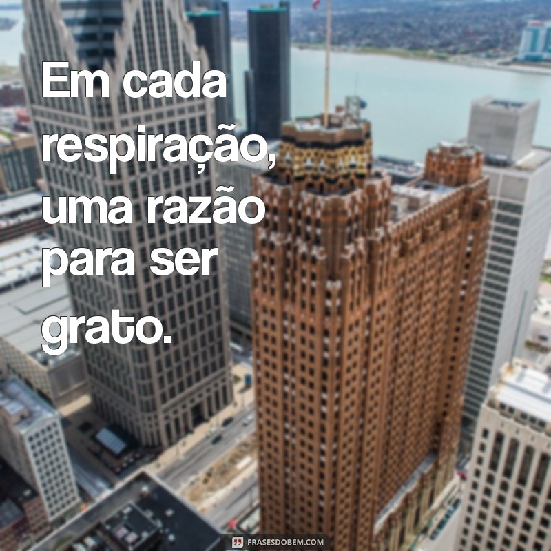 Como a Gratidão Pode Transformar Sua Vida: Dicas Práticas para Ser Mais Feliz 