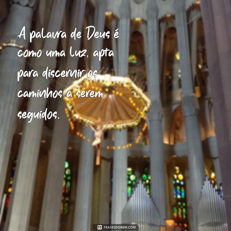 a palavra de deus é apta para discernir A palavra de Deus é como uma luz, apta para discernir os caminhos a serem seguidos.