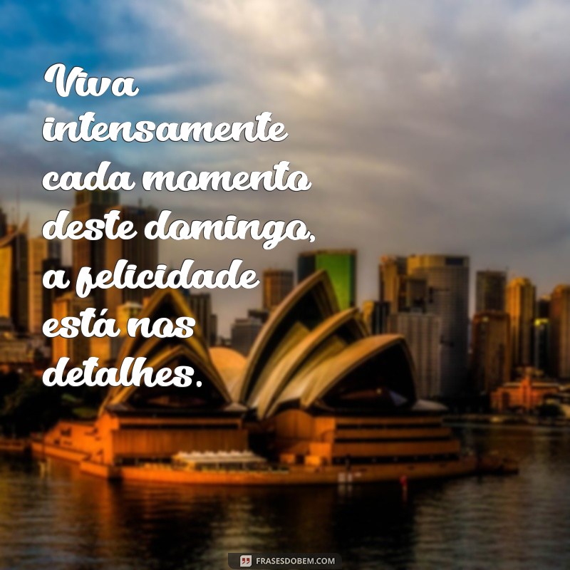 Frases Inspiradoras para um Domingo Feliz: Comece sua Semana com Positividade 