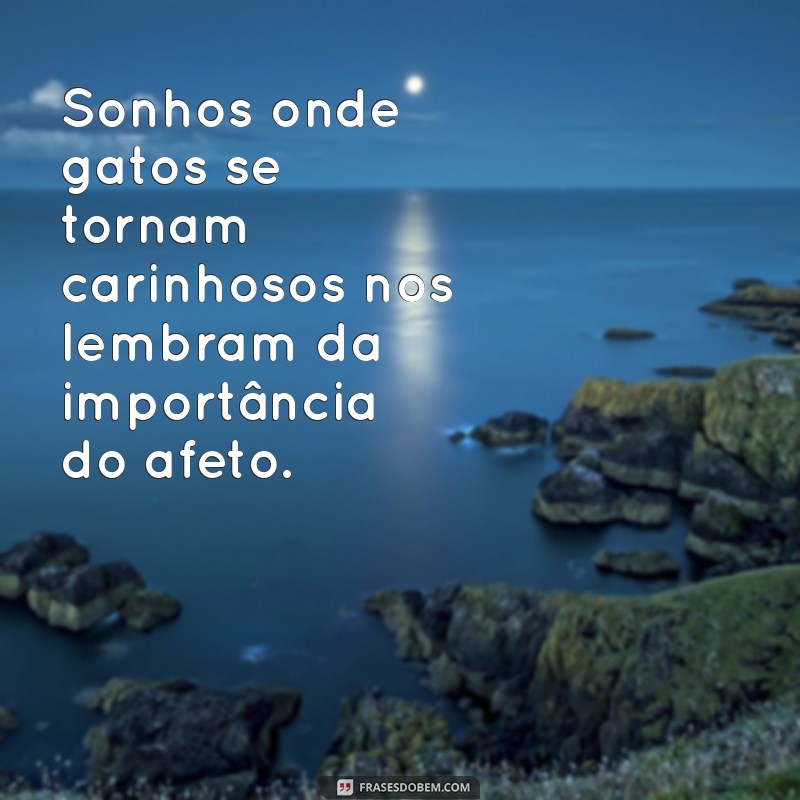 Significado dos Sonhos: O Que Representa Sonhar com Gato Carinhoso? 