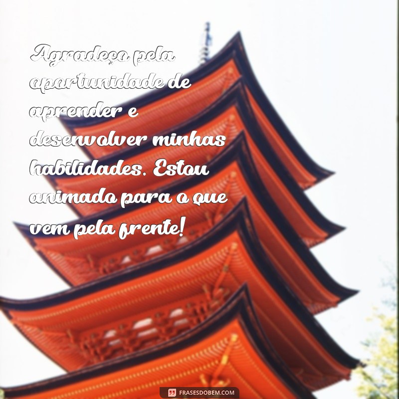 Mensagens de Agradecimento Profissional: Como Expressar Gratidão no Trabalho 