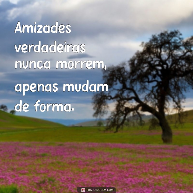 Como Lidar com a Perda de um Amigo: Dicas para Superar a Dor 