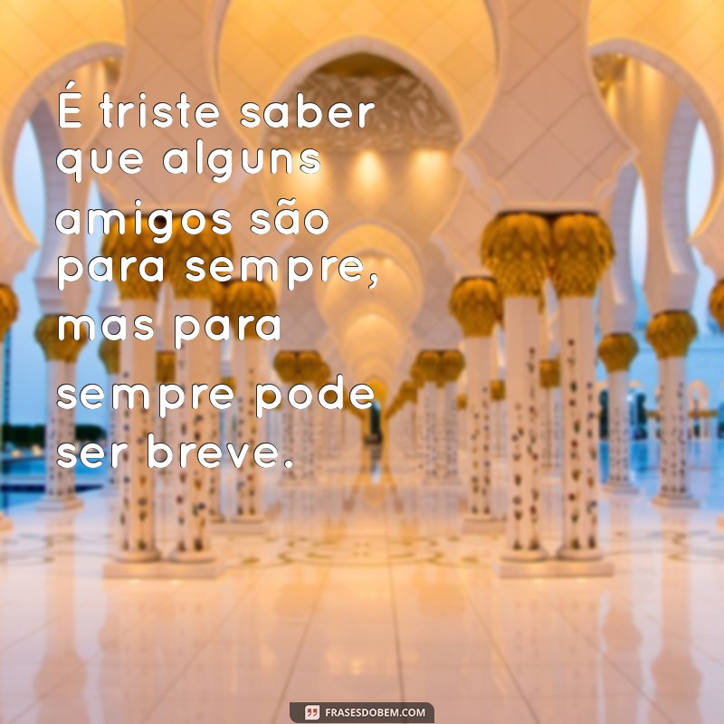 Como Lidar com a Perda de um Amigo: Dicas para Superar a Dor 