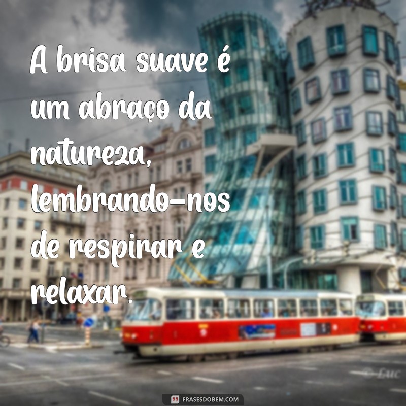 Descubra Inspirações: 50 Frases Encantadoras sobre Paisagens Naturais 