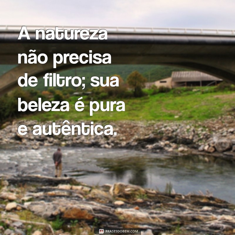 Descubra Inspirações: 50 Frases Encantadoras sobre Paisagens Naturais 