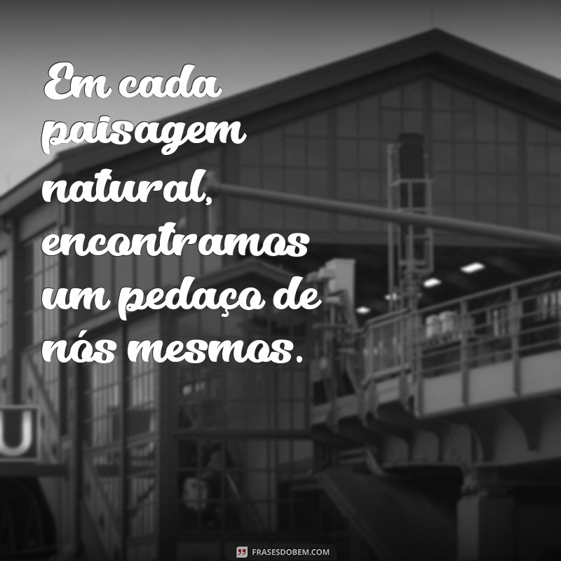 Descubra Inspirações: 50 Frases Encantadoras sobre Paisagens Naturais 