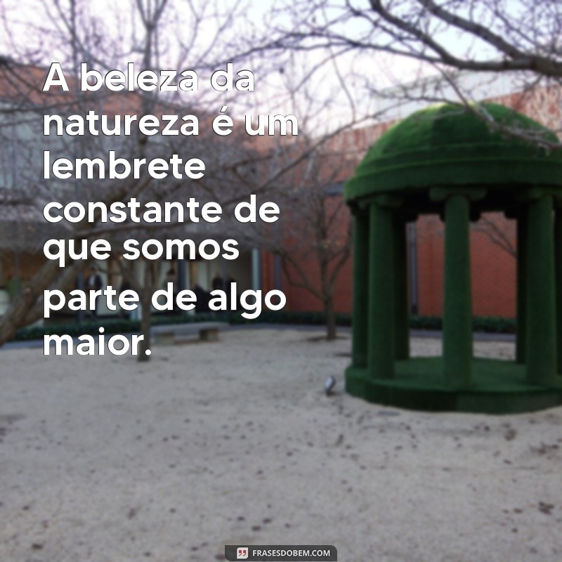 frases sobre paisagem natural A beleza da natureza é um lembrete constante de que somos parte de algo maior.