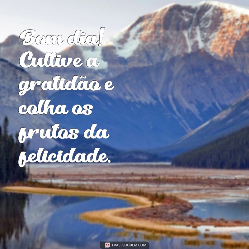 Bom Dia! 30 Frases Inspiradoras de Gratidão para Começar o Dia com Positividade 