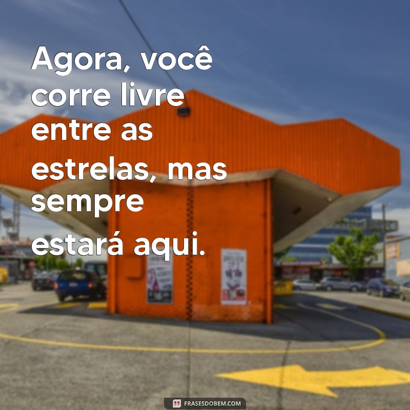 Como Lidar com o Luto pela Perda do Seu Cachorro: Dicas e Reflexões 