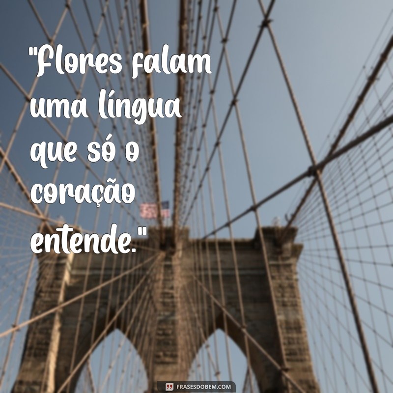 mensagem flores e frases 