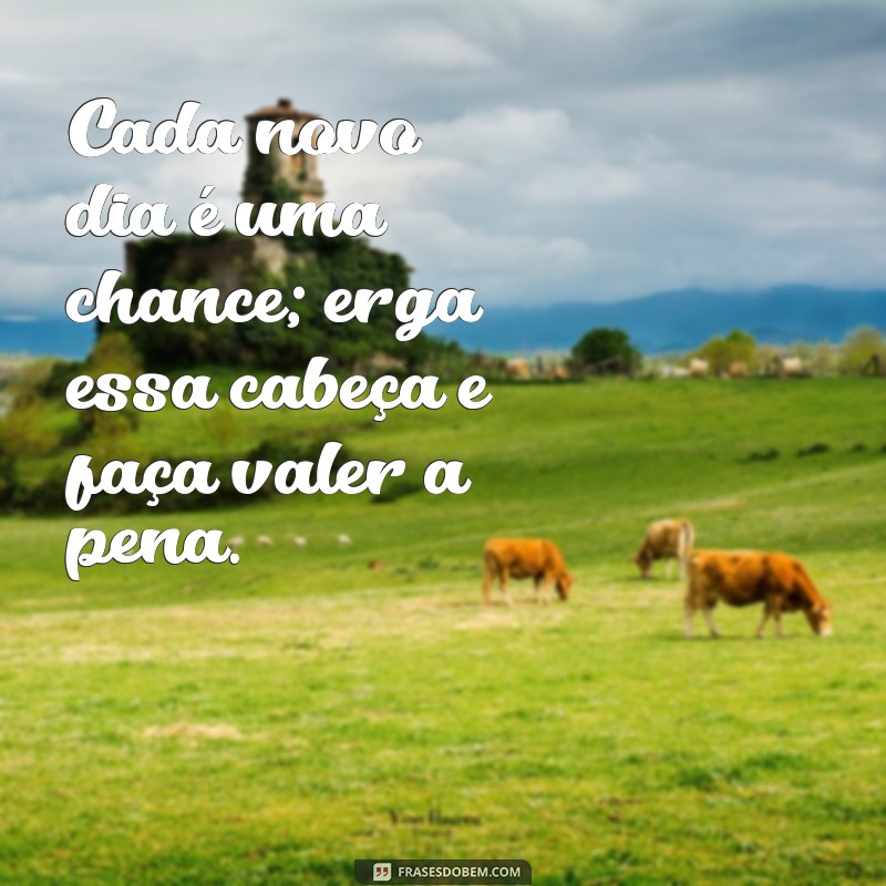 Erga Essa Cabeça: Dicas para Superar Desafios e Encontrar a Motivação 