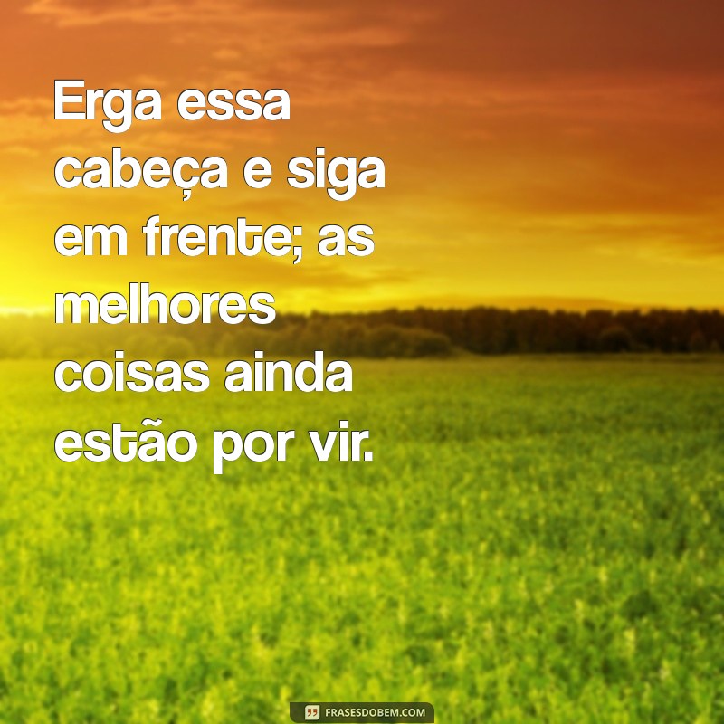 erga essa cabeça Erga essa cabeça e siga em frente; as melhores coisas ainda estão por vir.