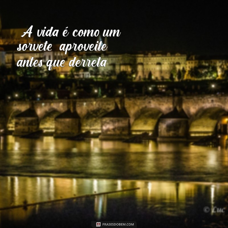 frases engraçadas para refletir sobre a vida 