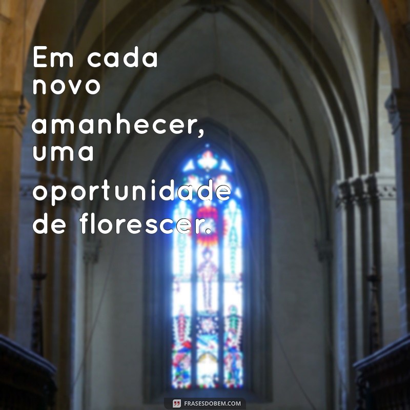 Frases Inspiradoras sobre Florescer para Usar nos Seus Status 