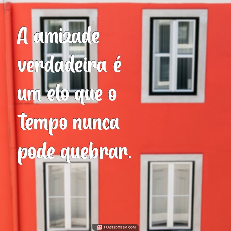 As Melhores Frases de Amizade para Celebrar laços Verdadeiros 