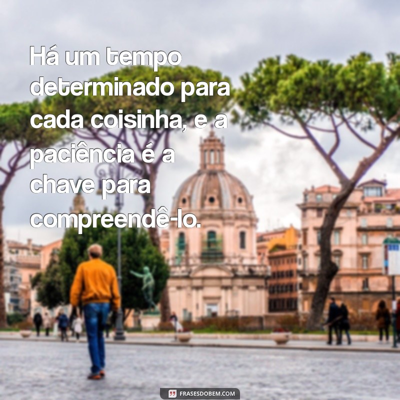 ha um tempo determinado para cada coisinha Há um tempo determinado para cada coisinha, e a paciência é a chave para compreendê-lo.