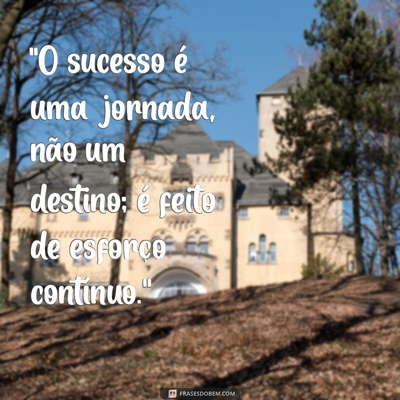 frases de esforço e dedicação 