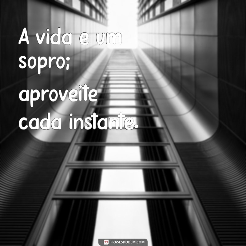 frases da vida curta A vida é um sopro; aproveite cada instante.