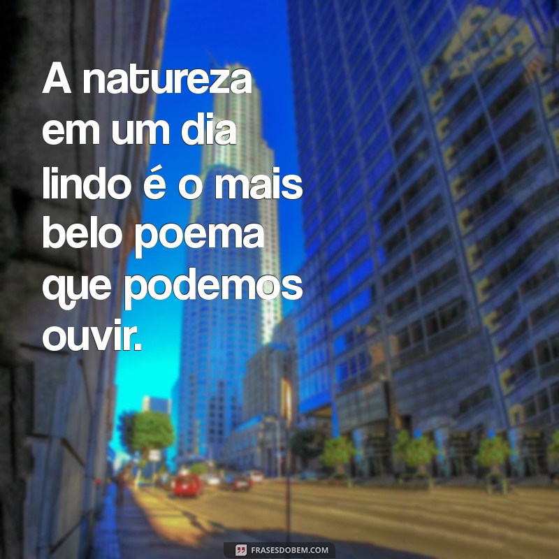 Frases Inspiradoras para Celebrar um Dia Lindo: Alegria e Positividade em Palavras 