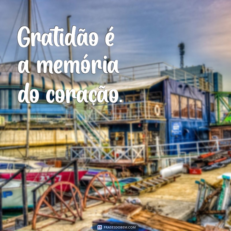 Frases Inspiradoras de Gratidão para Transformar Seu Dia 