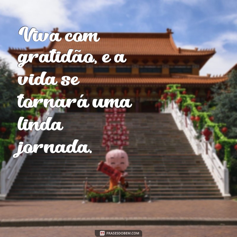 Frases Inspiradoras de Gratidão para Transformar Seu Dia 