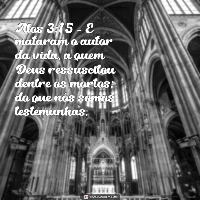 Versículos da Bíblia sobre a Ressurreição de Cristo: Entenda Seu Significado 