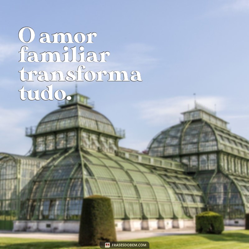 Frases Inspiradoras para Celebrar a Pequena Família 