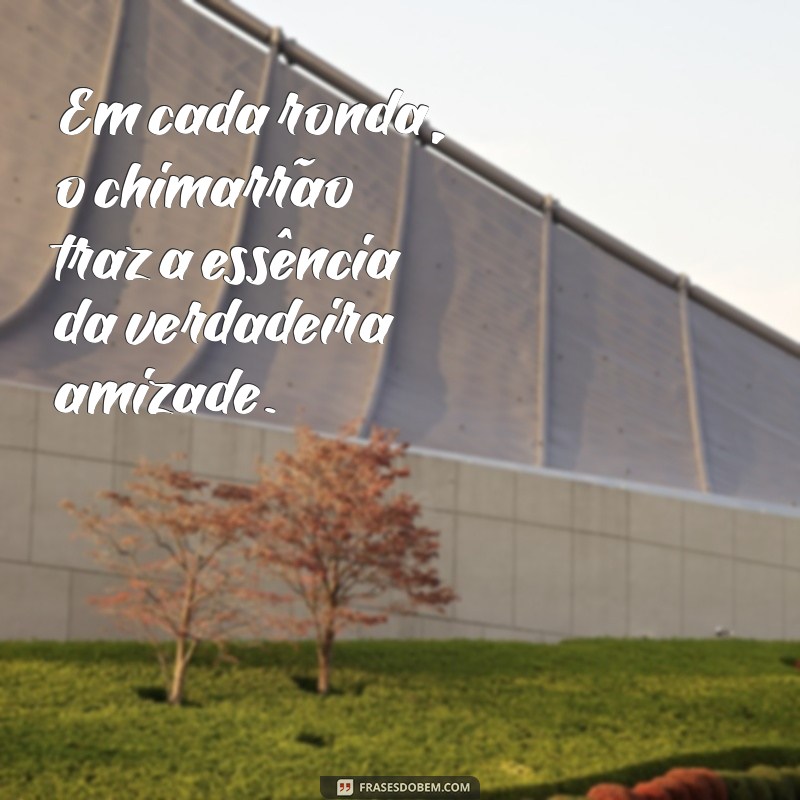 Frases Inspiradoras sobre Chimarrão e Amizade: Celebre Momentos Juntos 