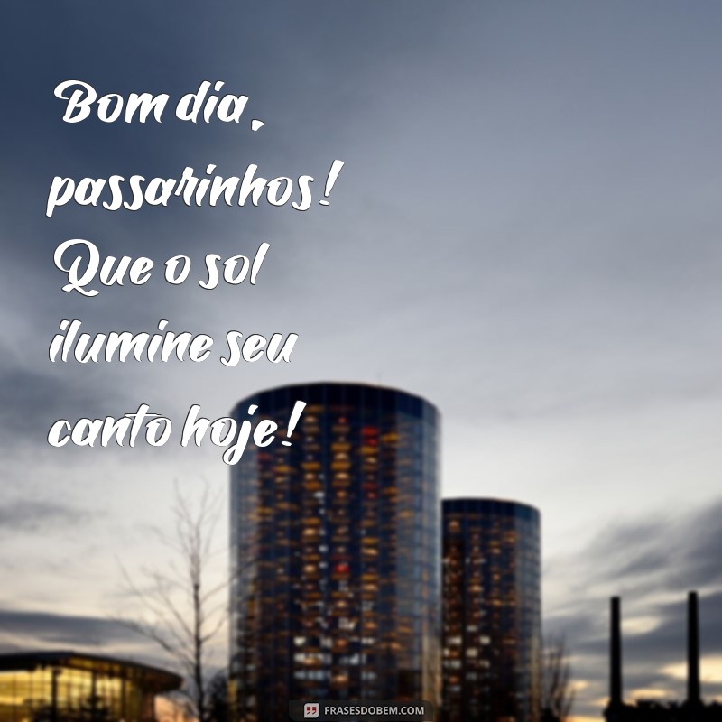 bom dia passarinhos Bom dia, passarinhos! Que o sol ilumine seu canto hoje!